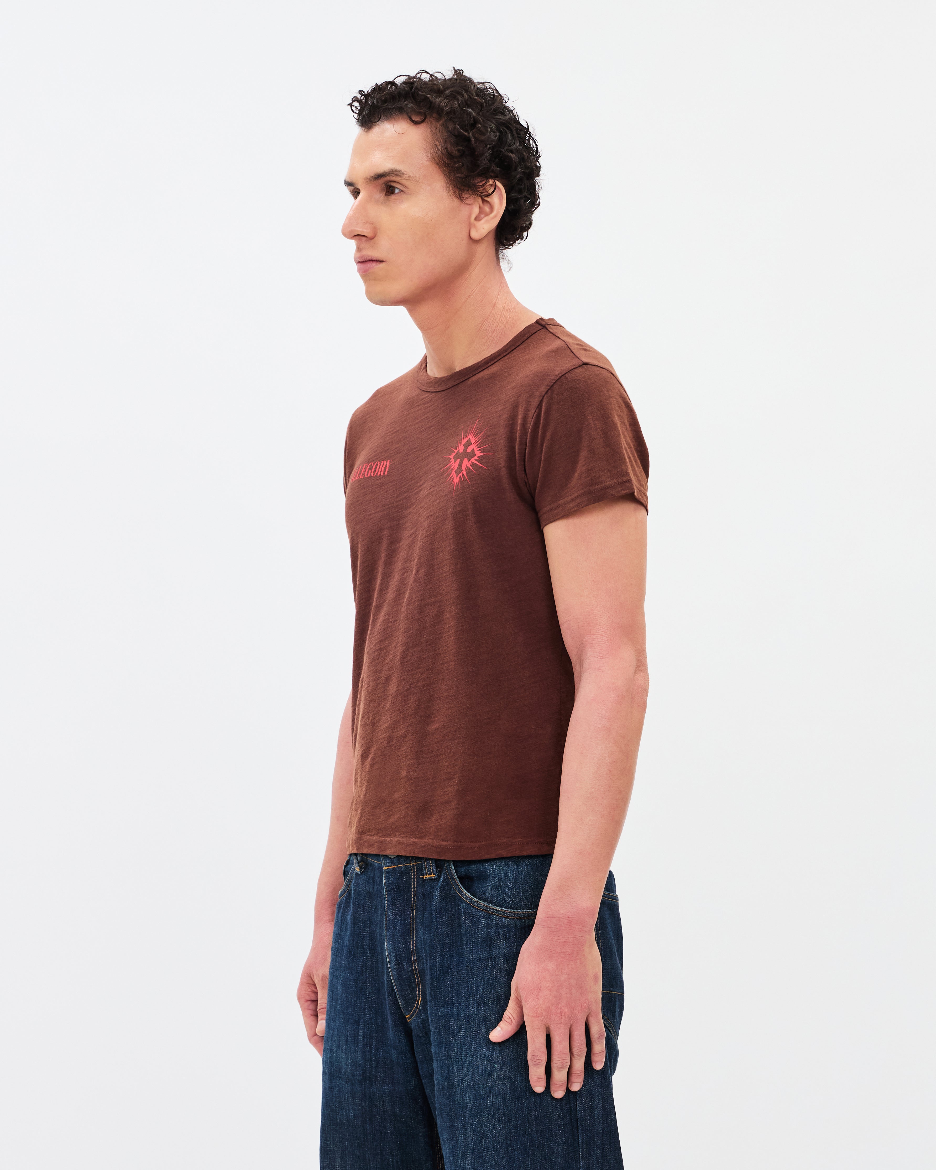 Seven Bowls Classic Tee / Washed Coffee-5