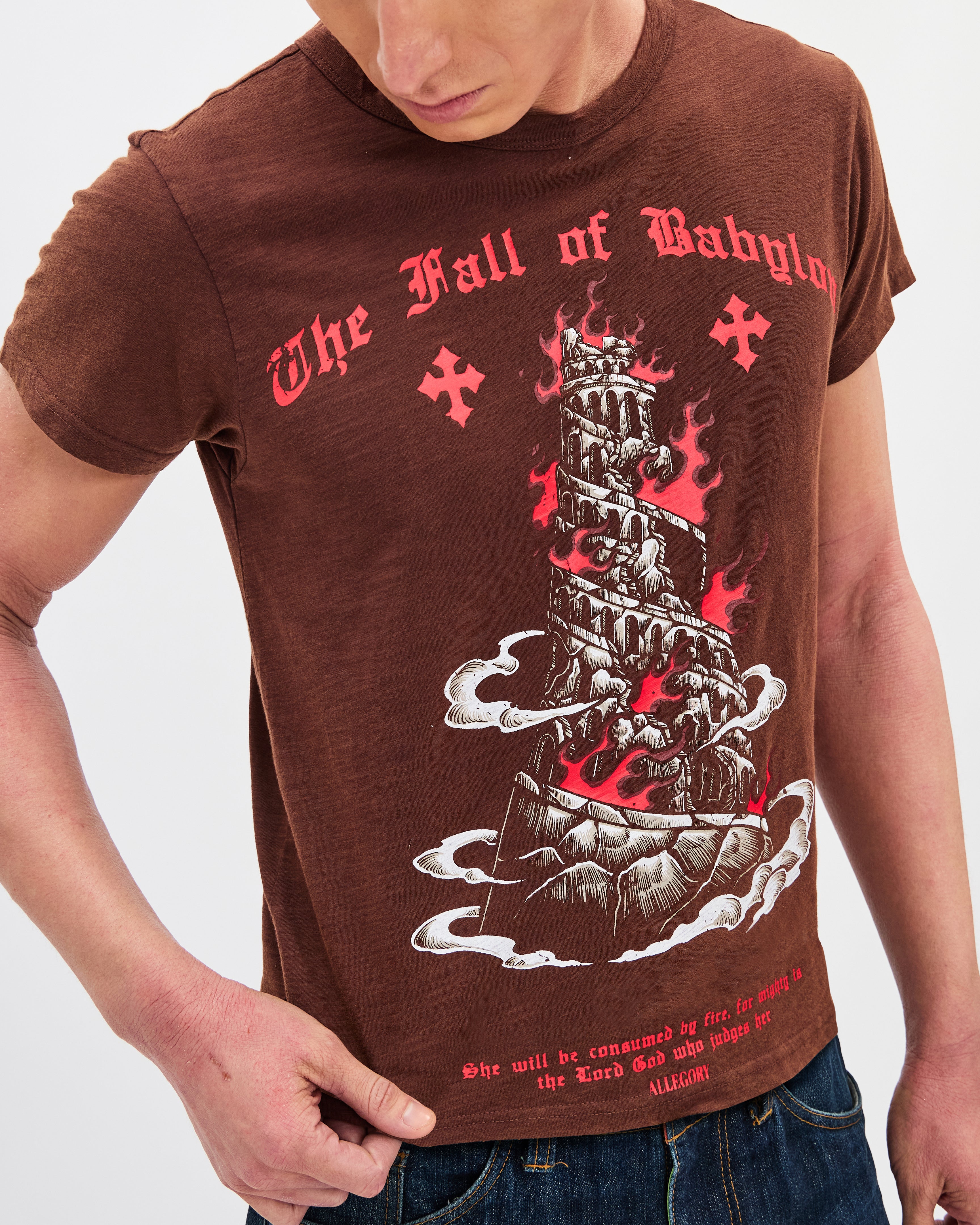 Fall of Babylon Classic Tee / Washed Coffee-8