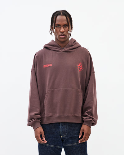 The Seven Bowls Hoodie / Washed Brown