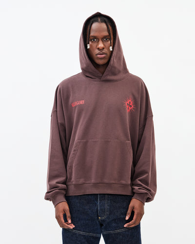 The Seven Bowls Hoodie / Washed Brown
