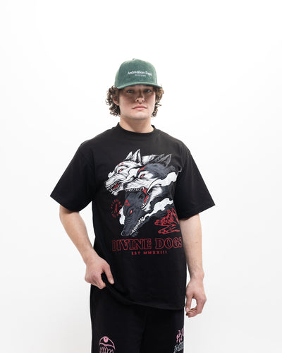 Divine Dogs Tee / Black