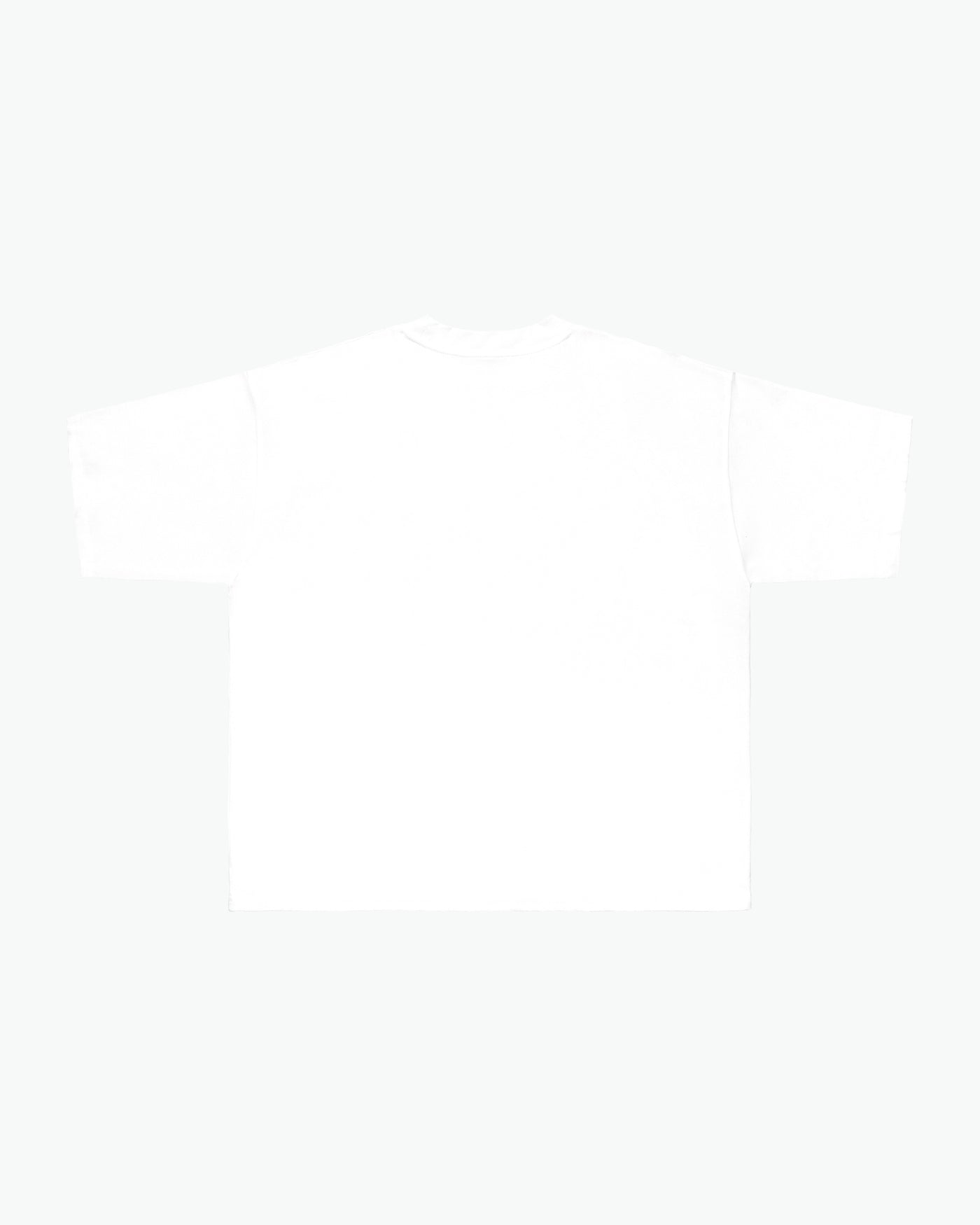 Am I Real Heavyweight Tee / White