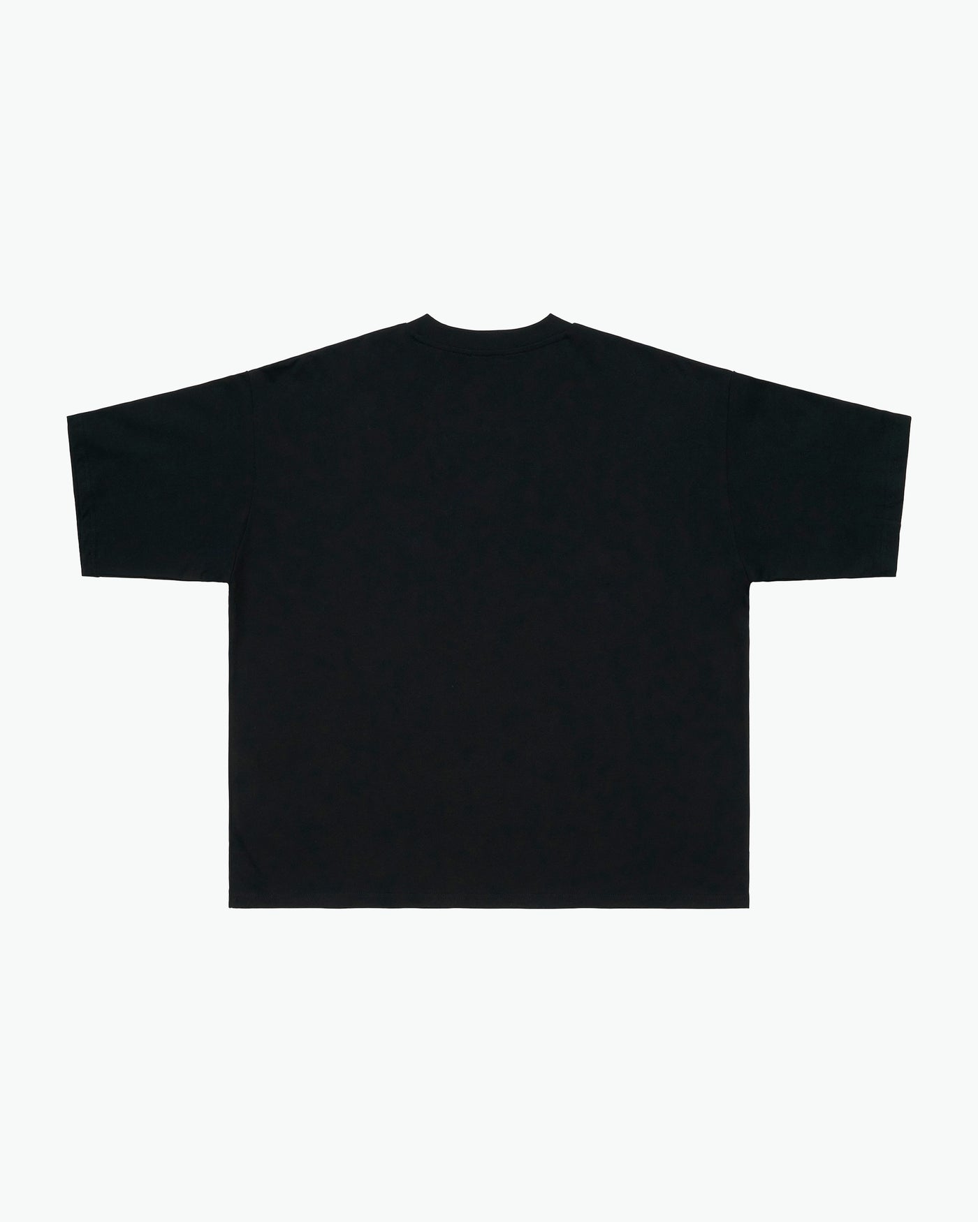 Big Brother Heavyweight Tee / Black