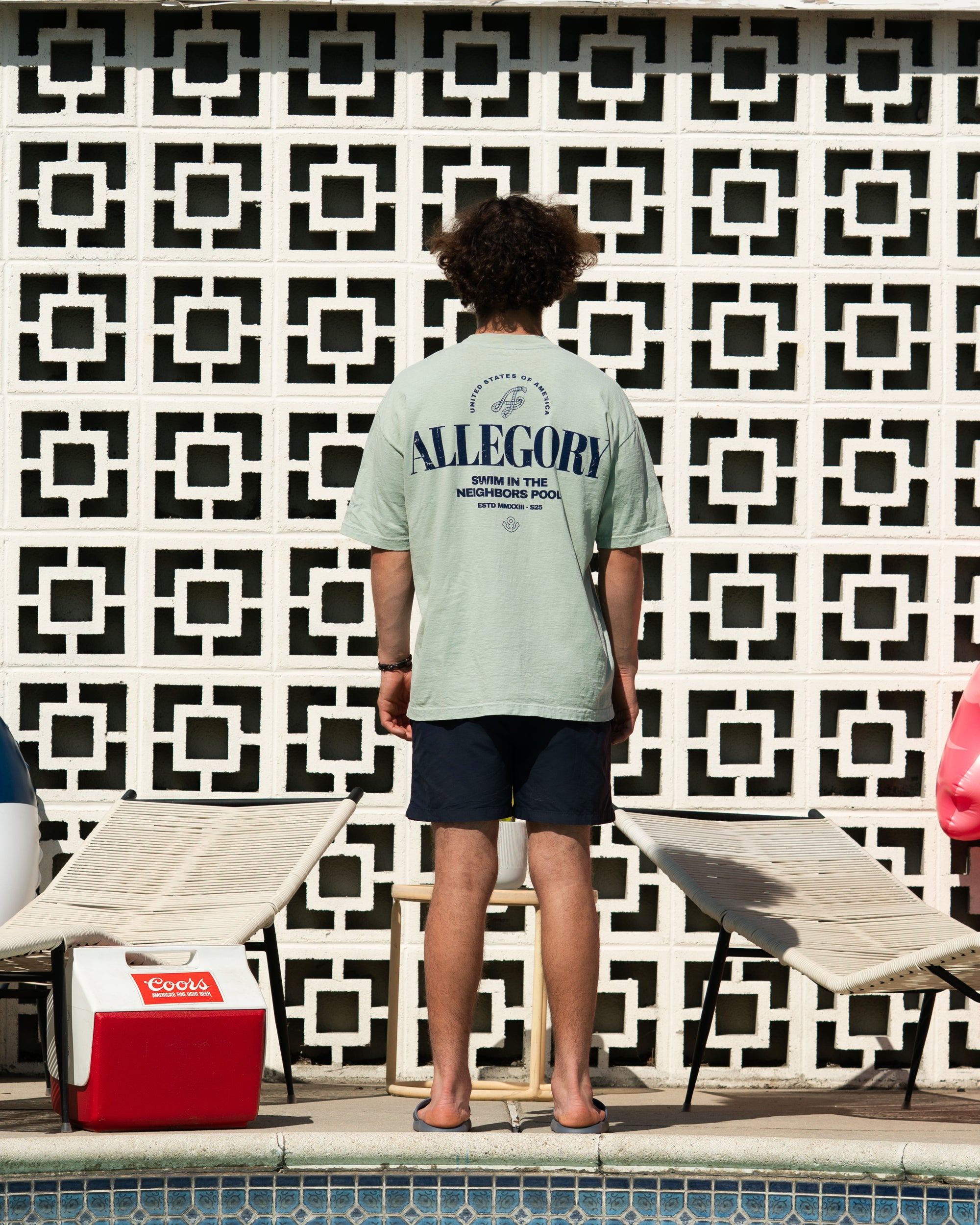 Swim In The Neighbors Pool Tee / Sage Green-6