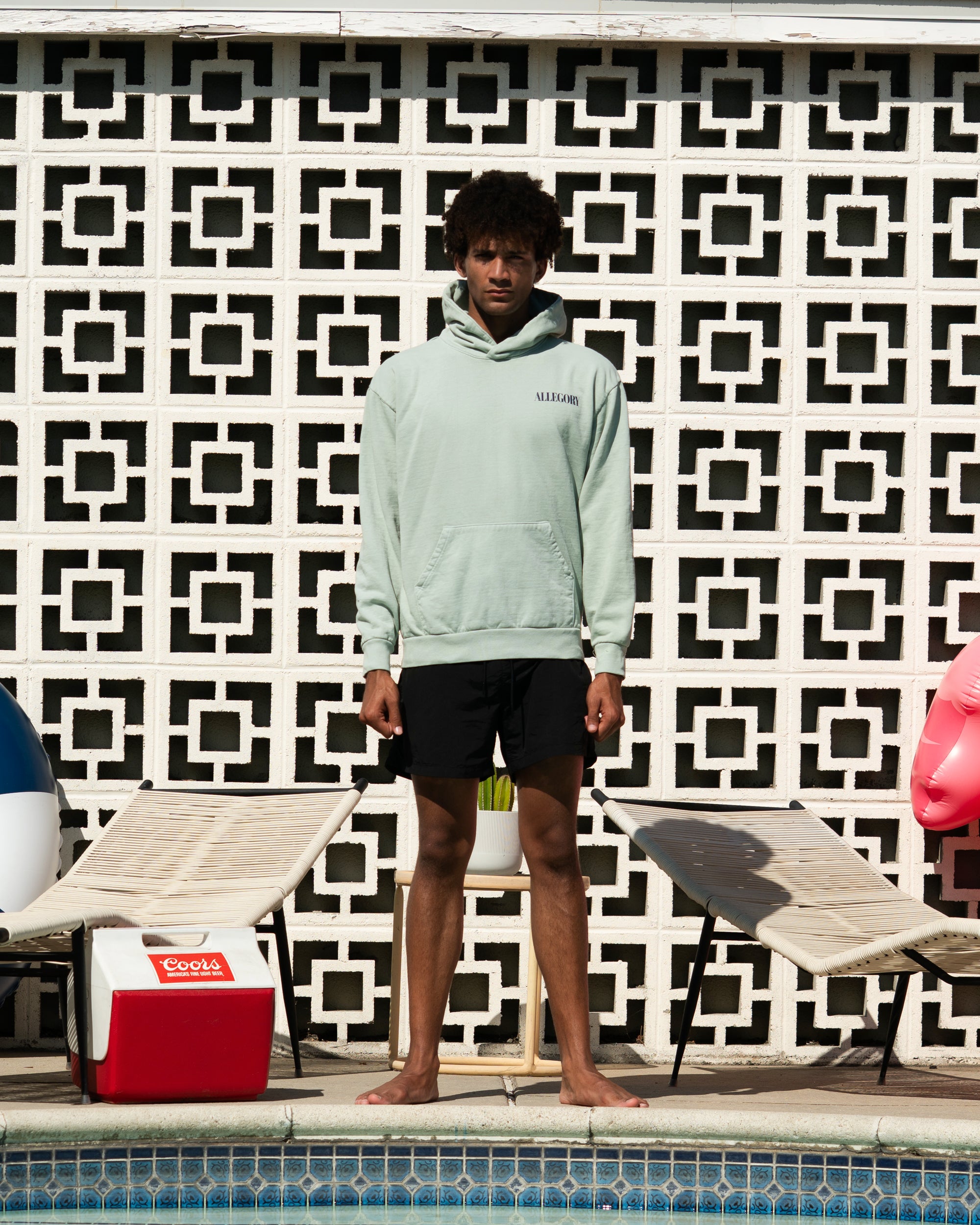 Swim In The Neighbors Pool Hoodie / Sage Green-5