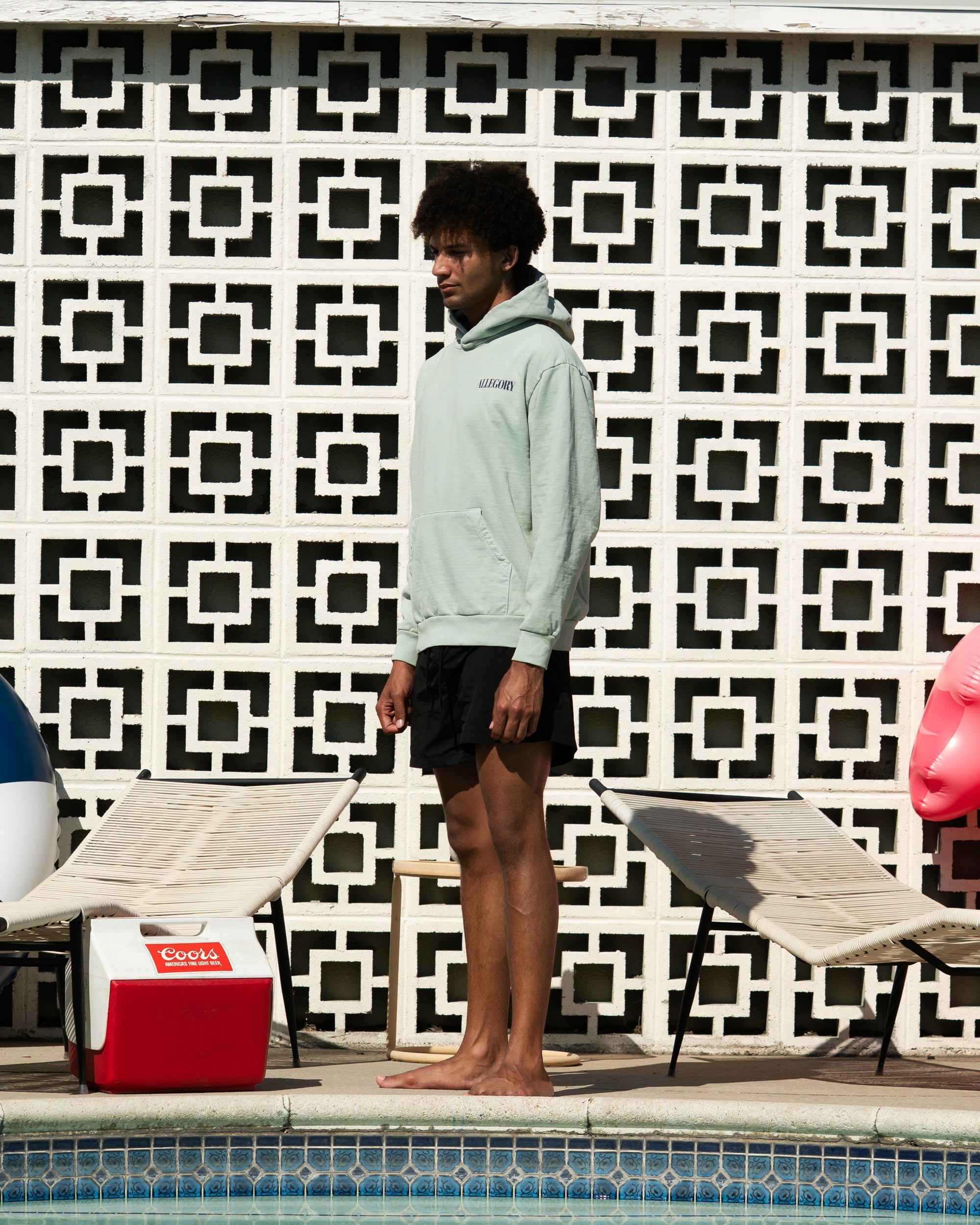 Swim In The Neighbors Pool Hoodie / Sage Green-7