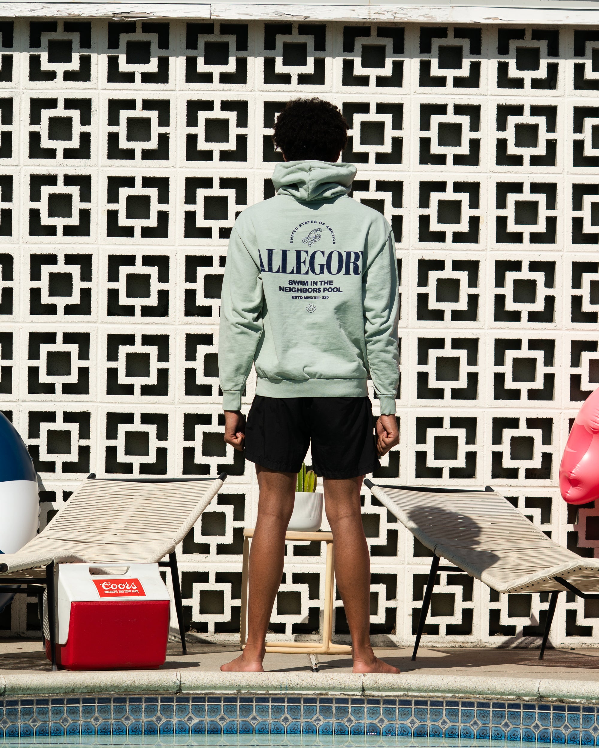 Swim In The Neighbors Pool Hoodie / Sage Green-6