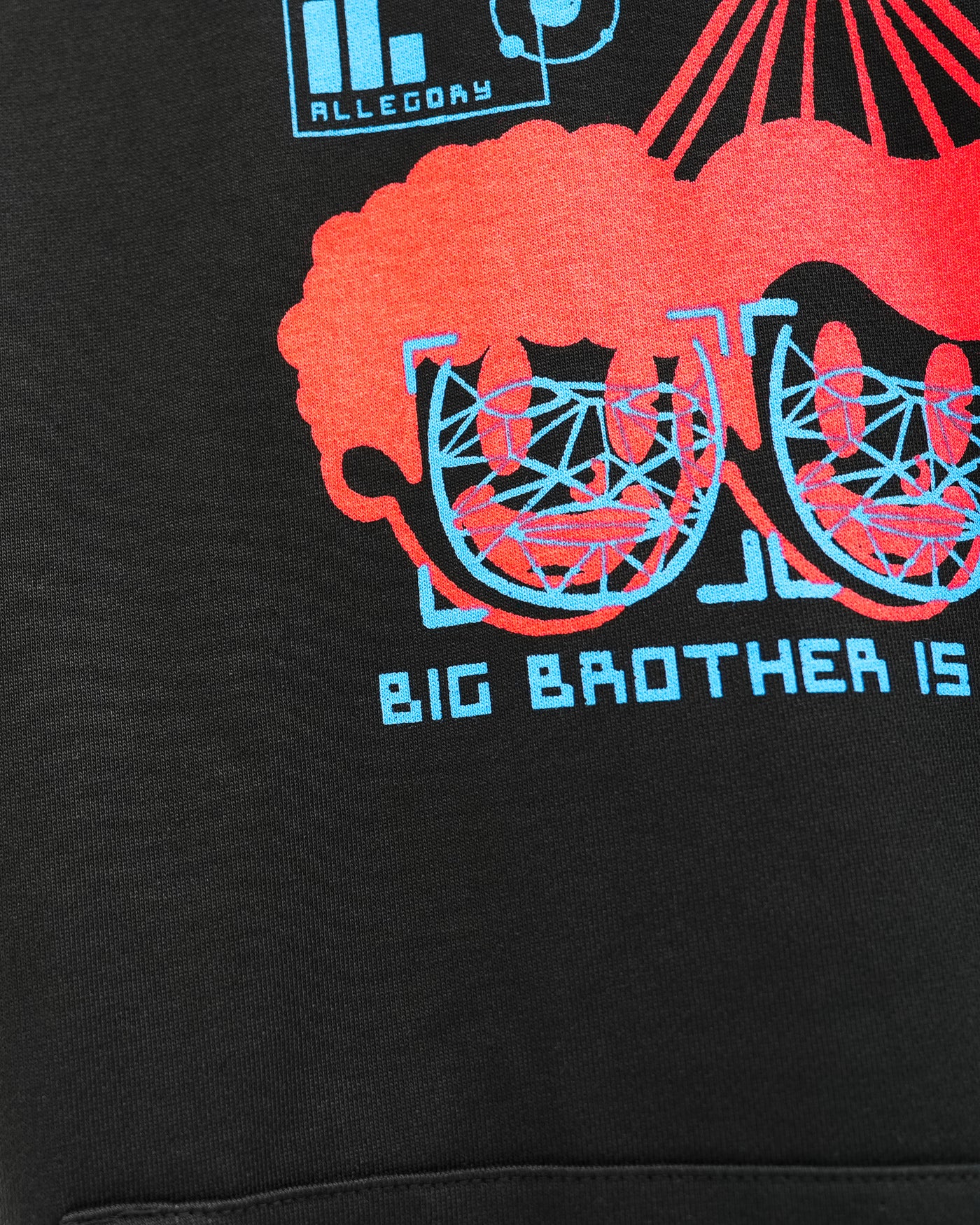 Big Brother Heavyweight Hoodie / Black