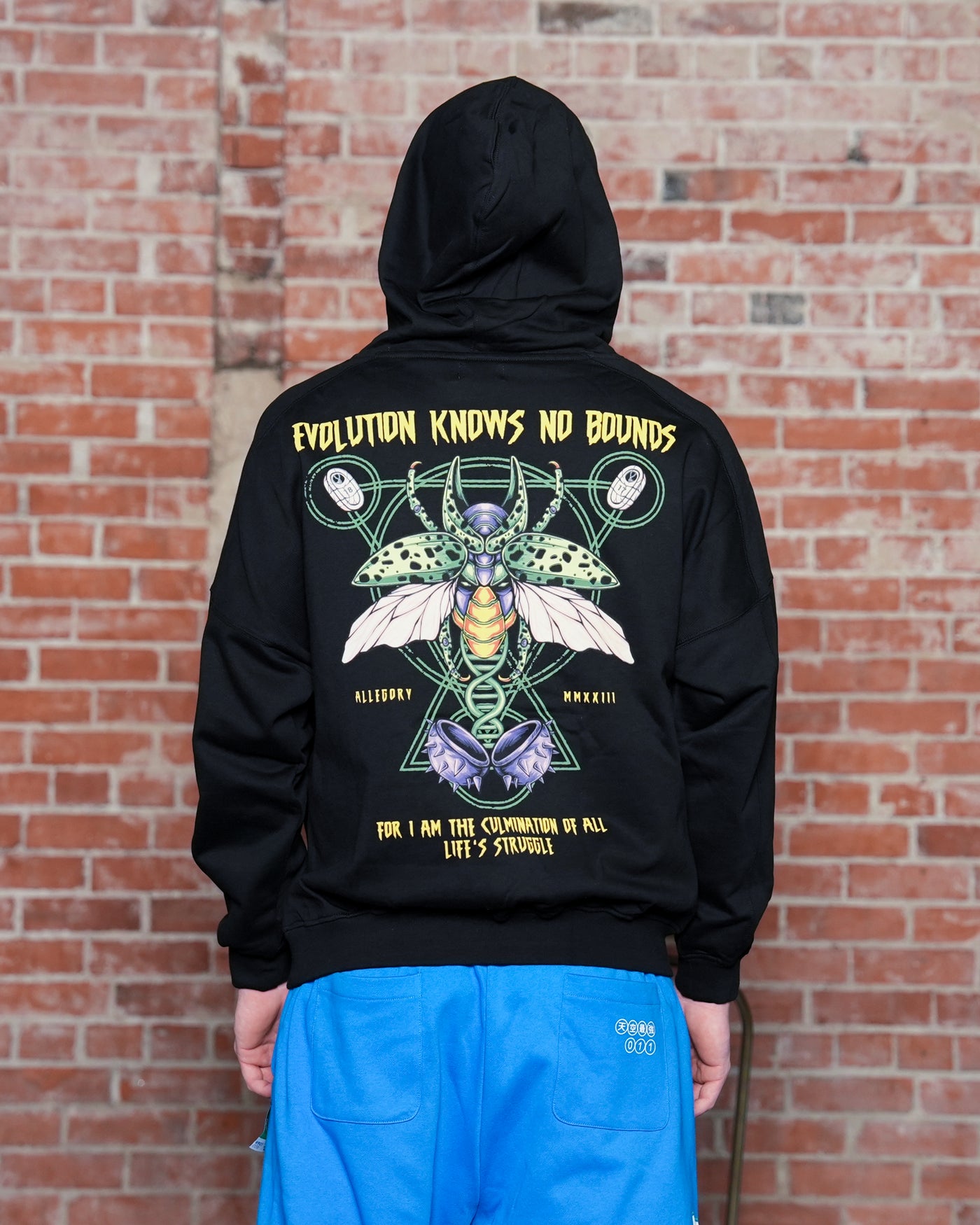 Evolution Cell Heavyweight Hoodie / Black