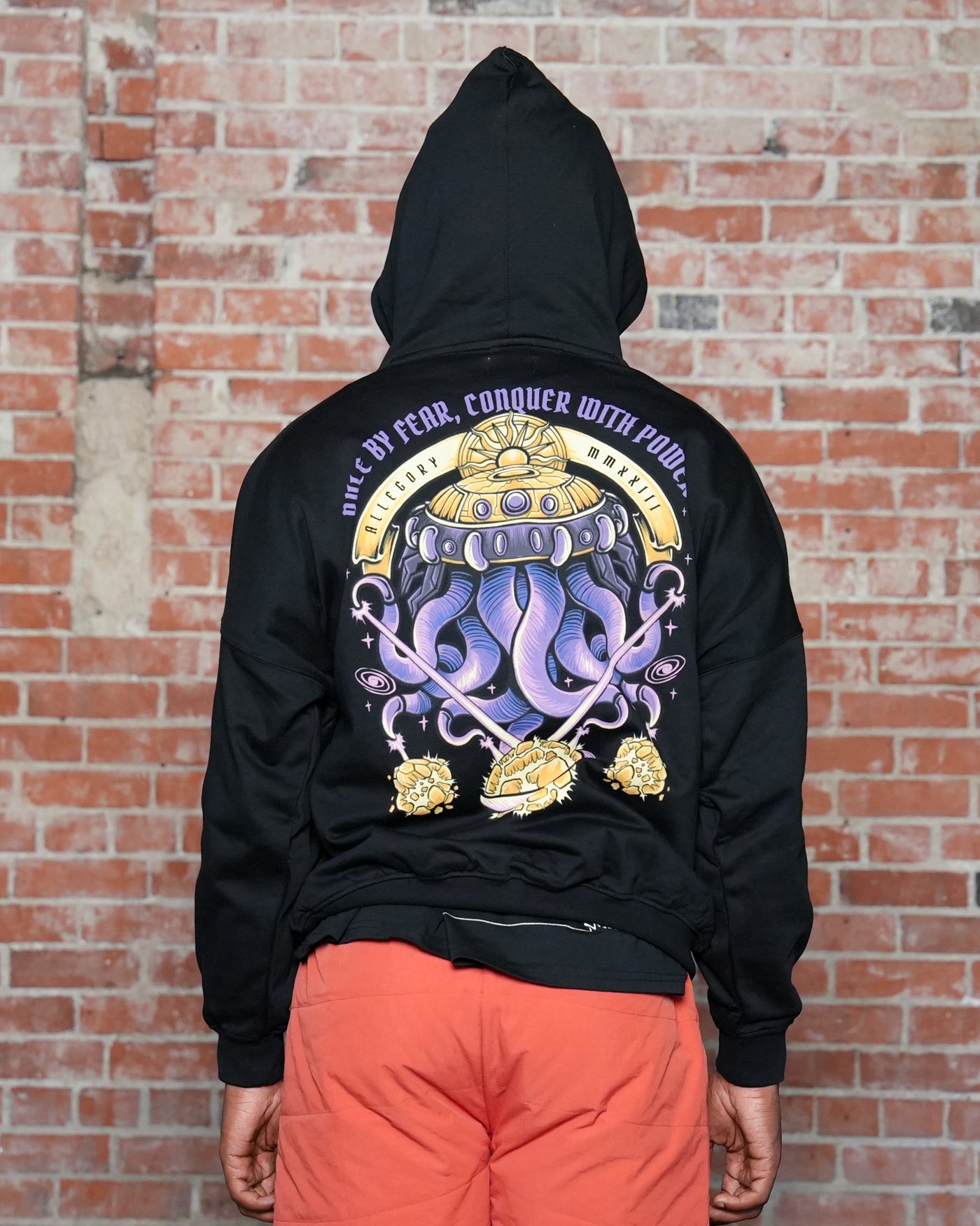 Frieza's Rule Heavyweight Hoodie / Black