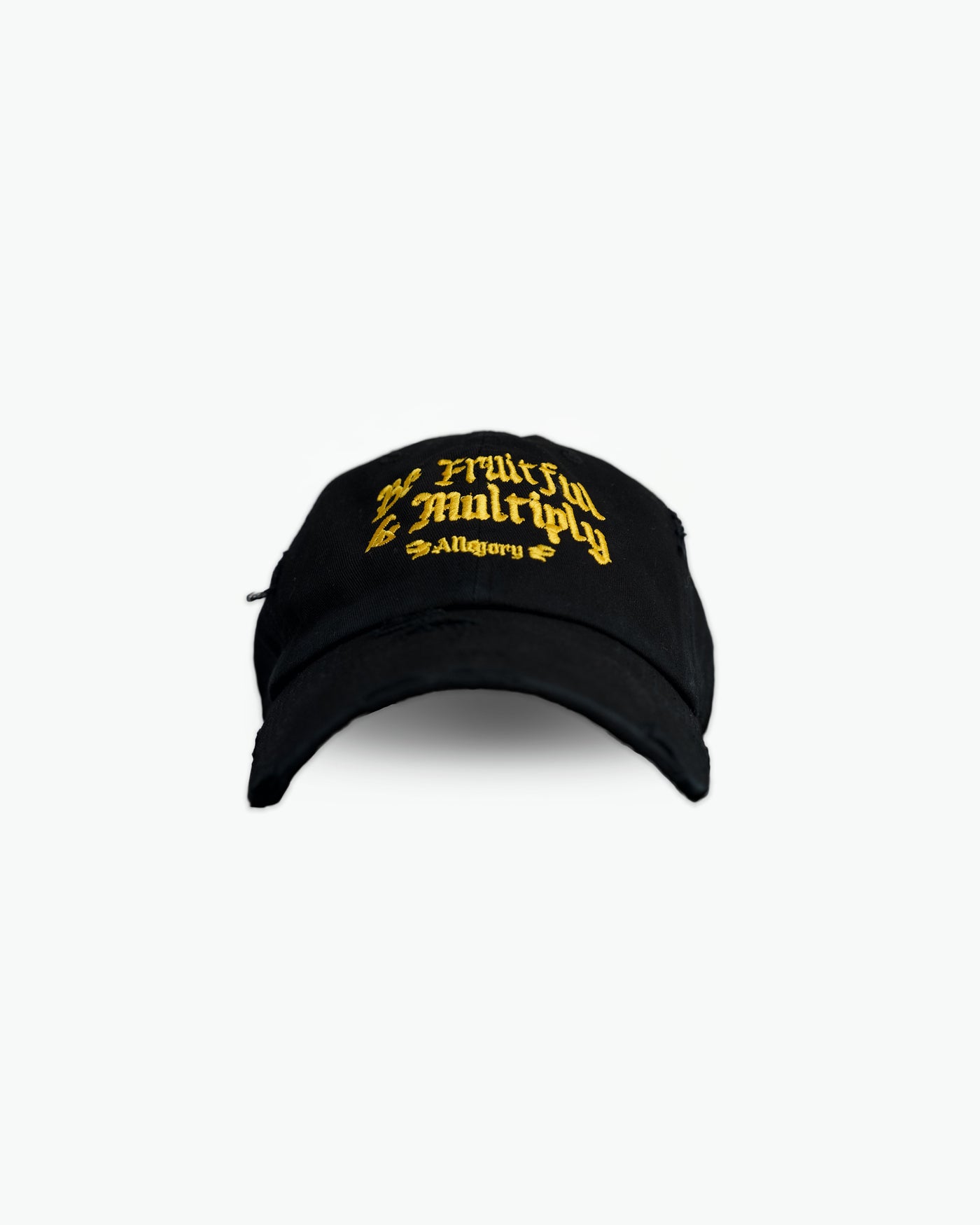 Be Fruitful and Multiply Premium Cotton Hat / Black