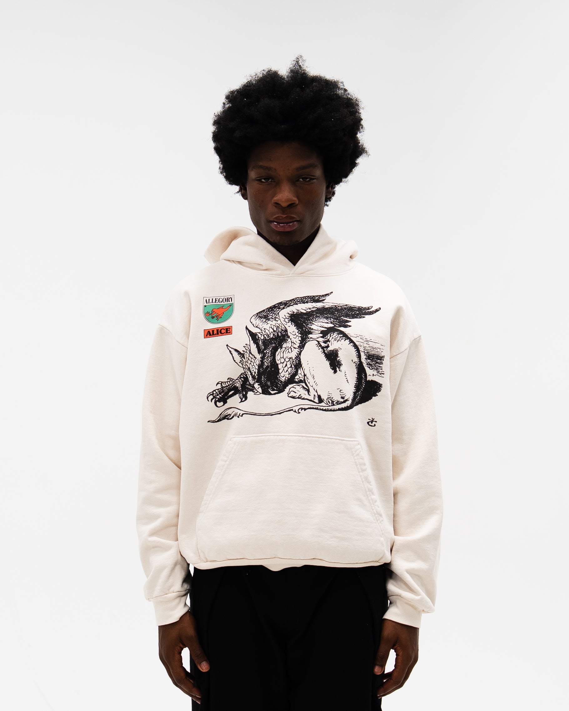 Gryphon Hoodie / Off White-3