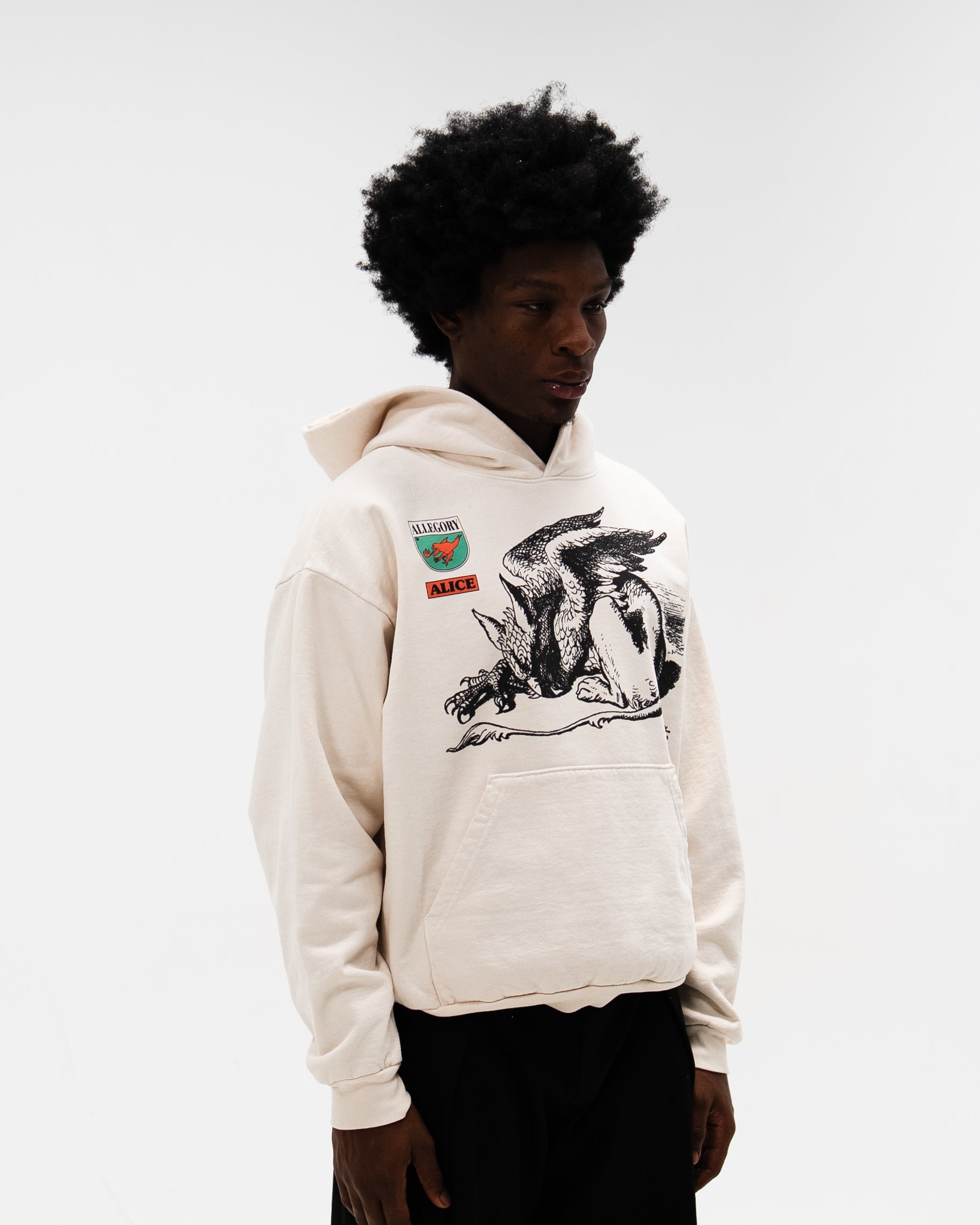 Gryphon Hoodie / Off White-4