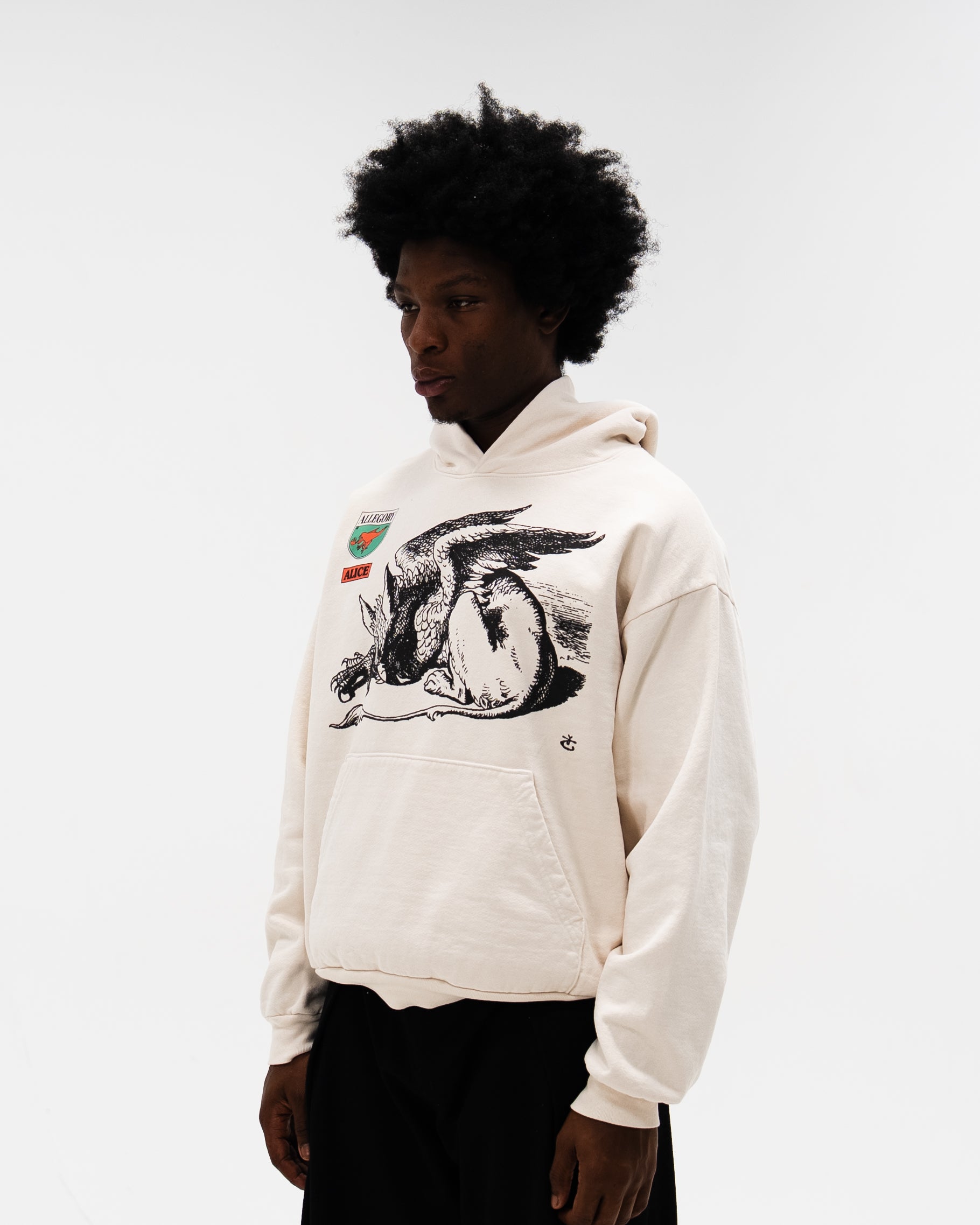 Gryphon Hoodie / Off White-5