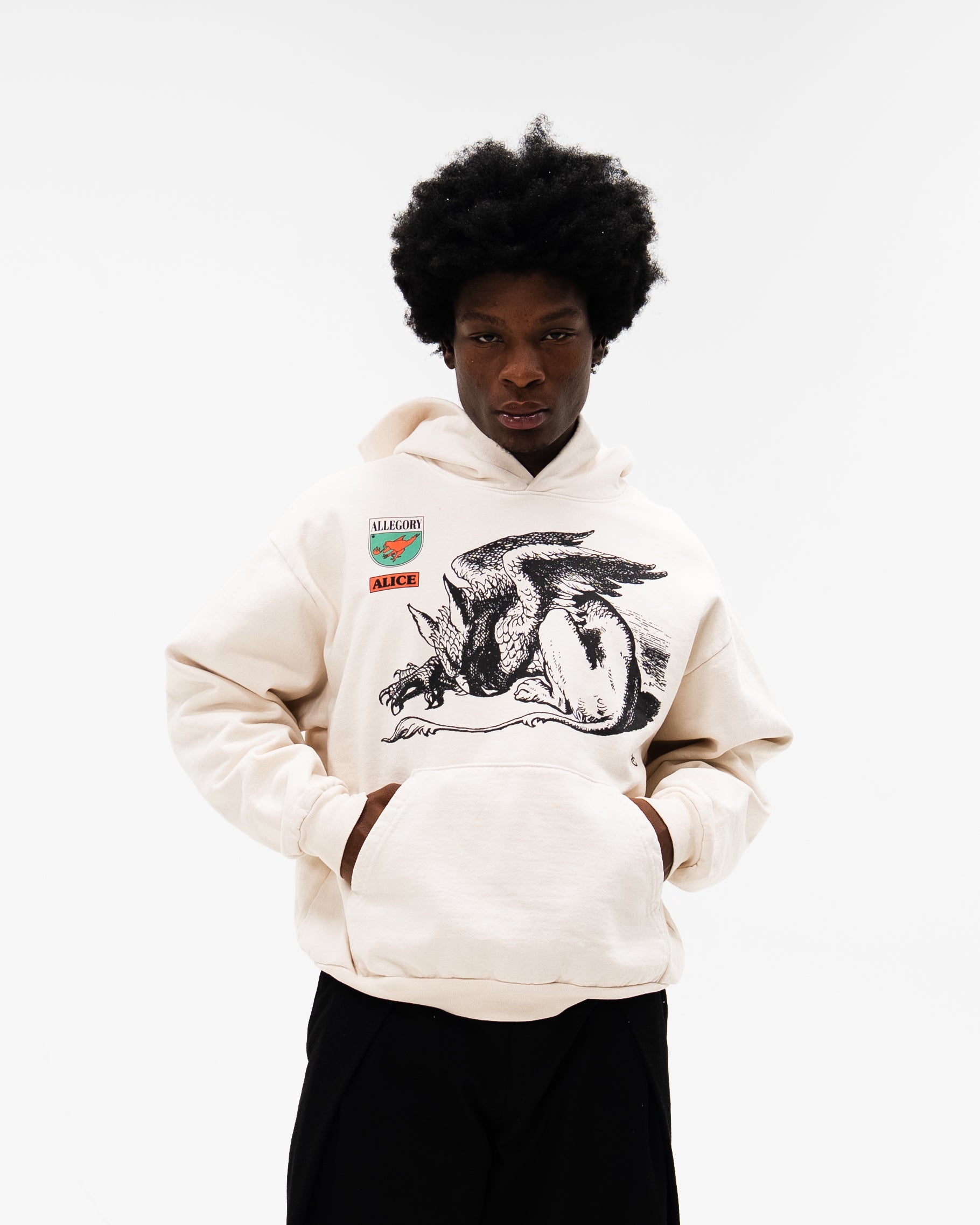 Gryphon Hoodie / Off White-6