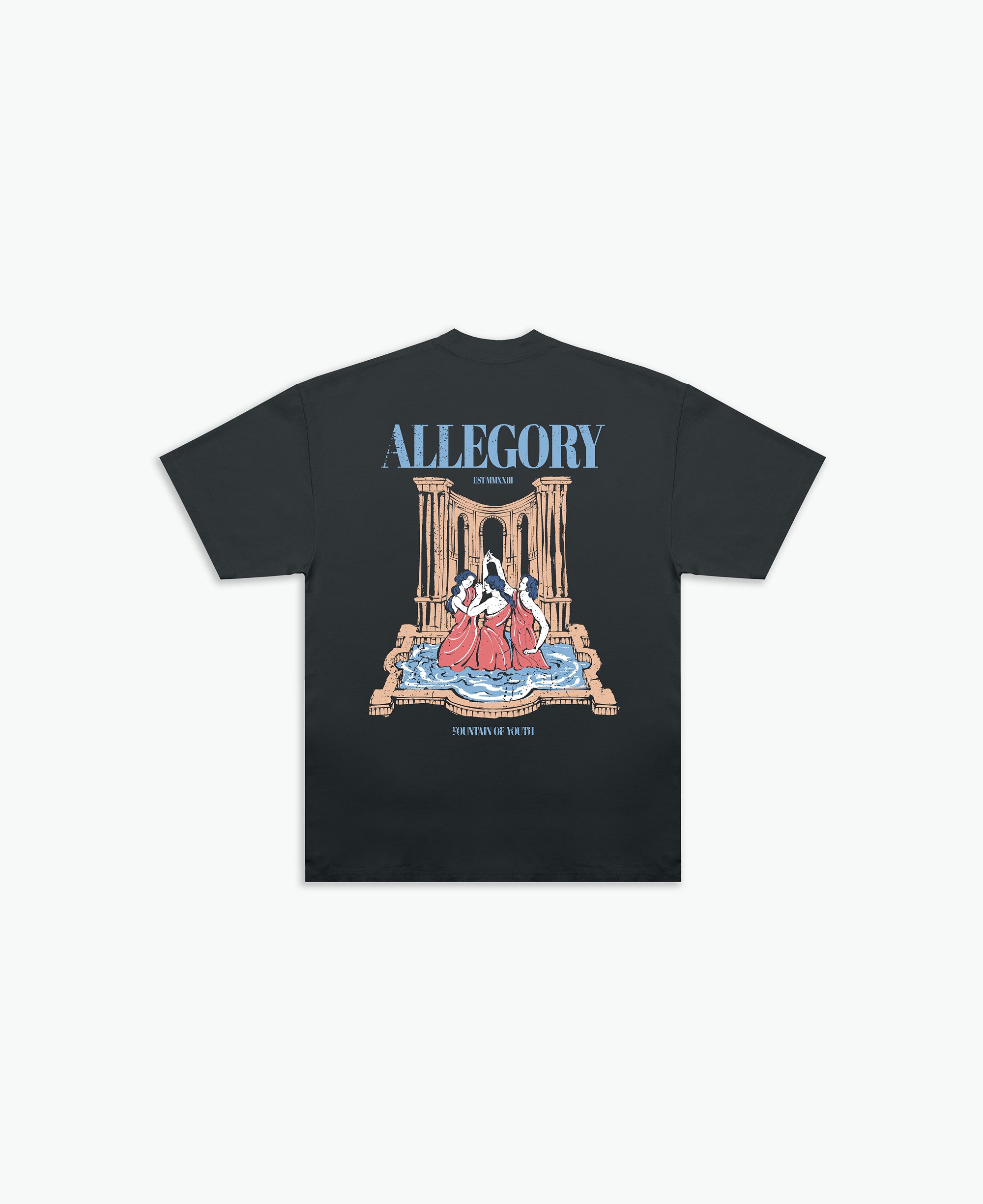 Fountain of Youth Tee / Charcoal