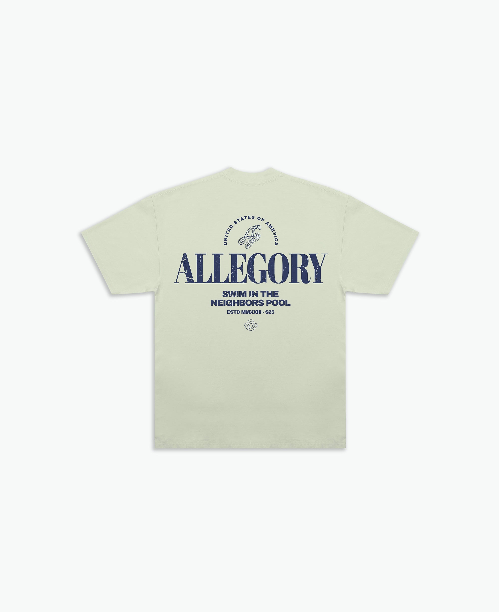 Swim In The Neighbors Pool Tee / Sage Green