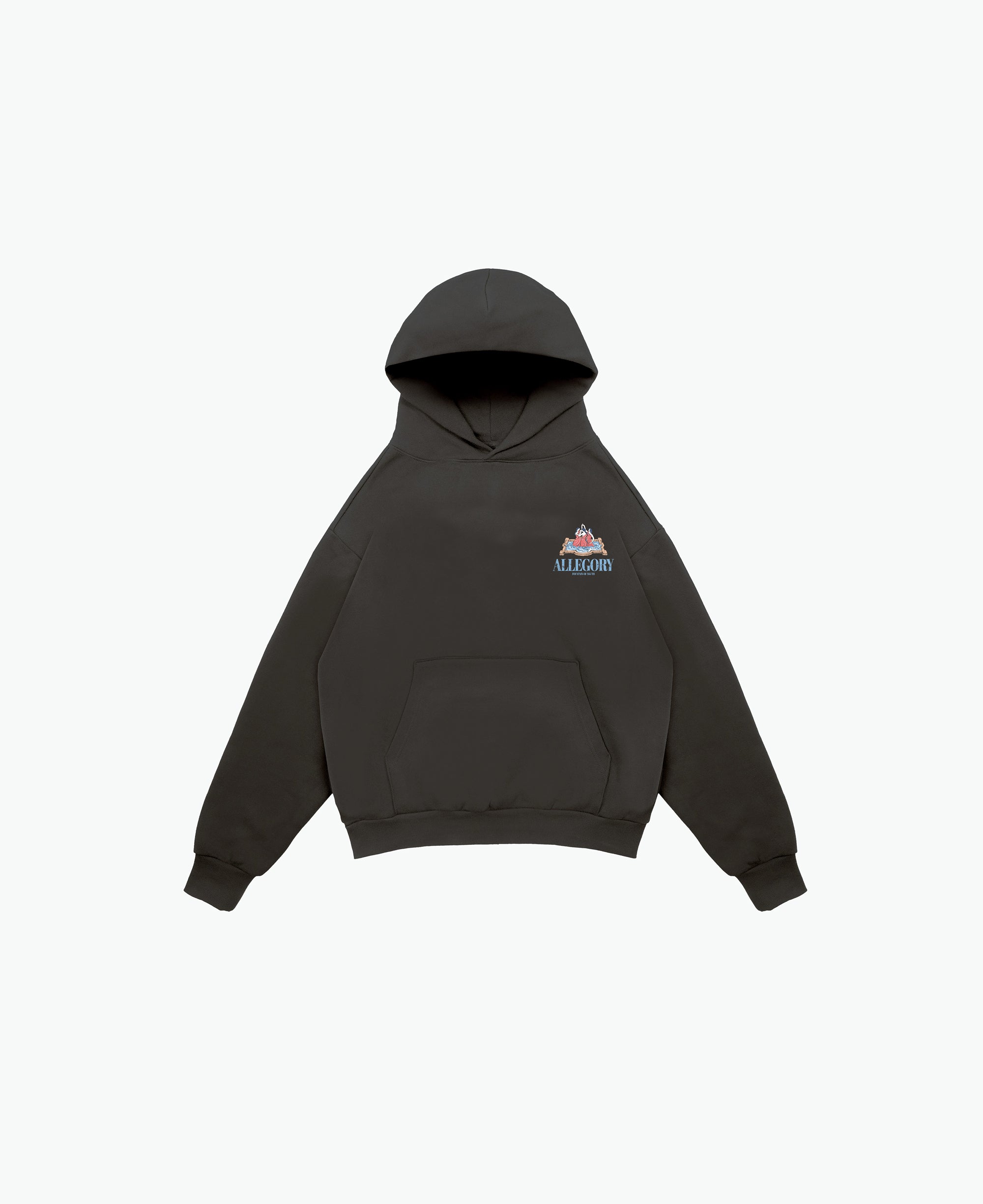 Fountain of Youth Hoodie / Charcoal-2