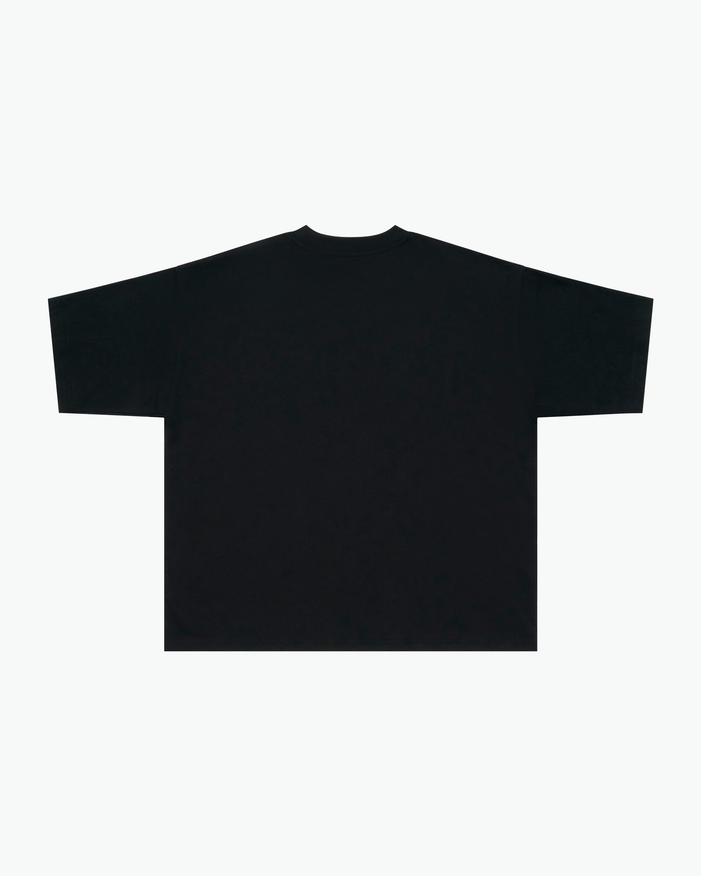 Your New Life Awaits Heavyweight Cropped Fit Tee / Black