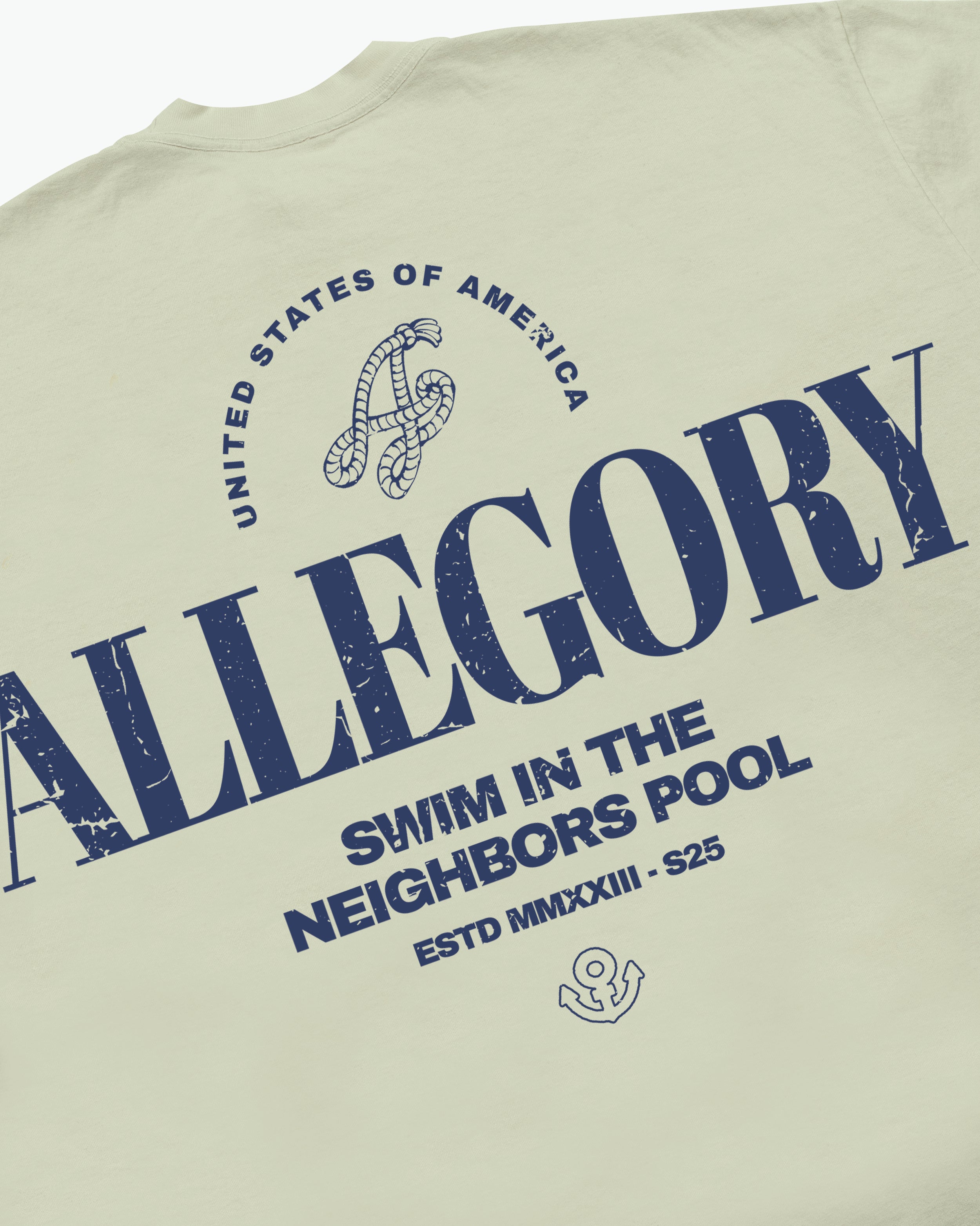 Swim In The Neighbors Pool Tee / Sage Green-3