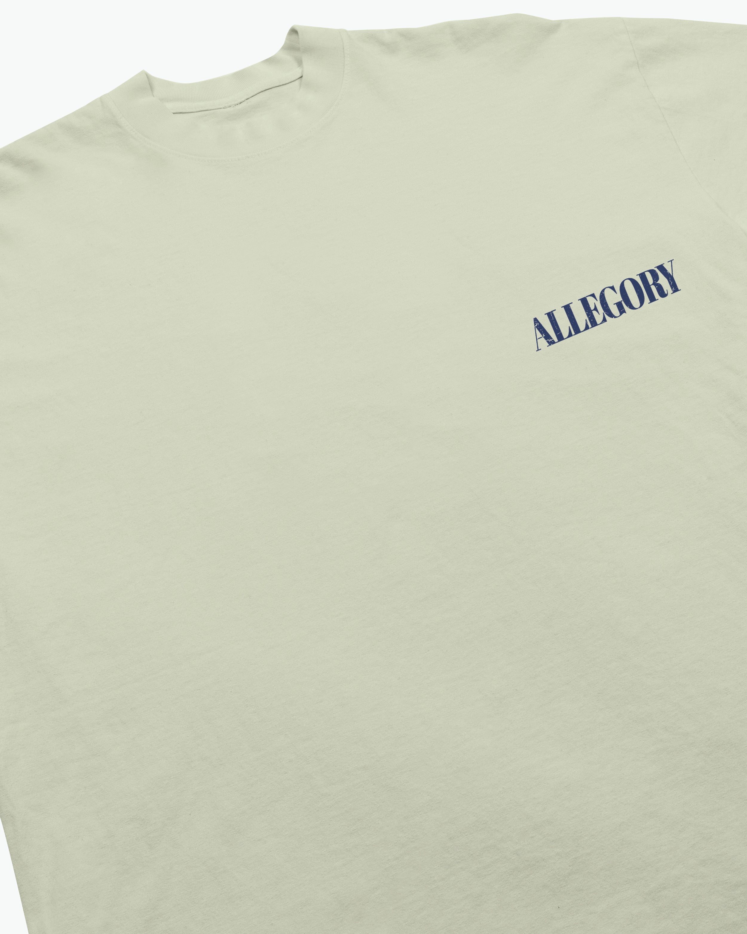 Swim In The Neighbors Pool Tee / Sage Green-4