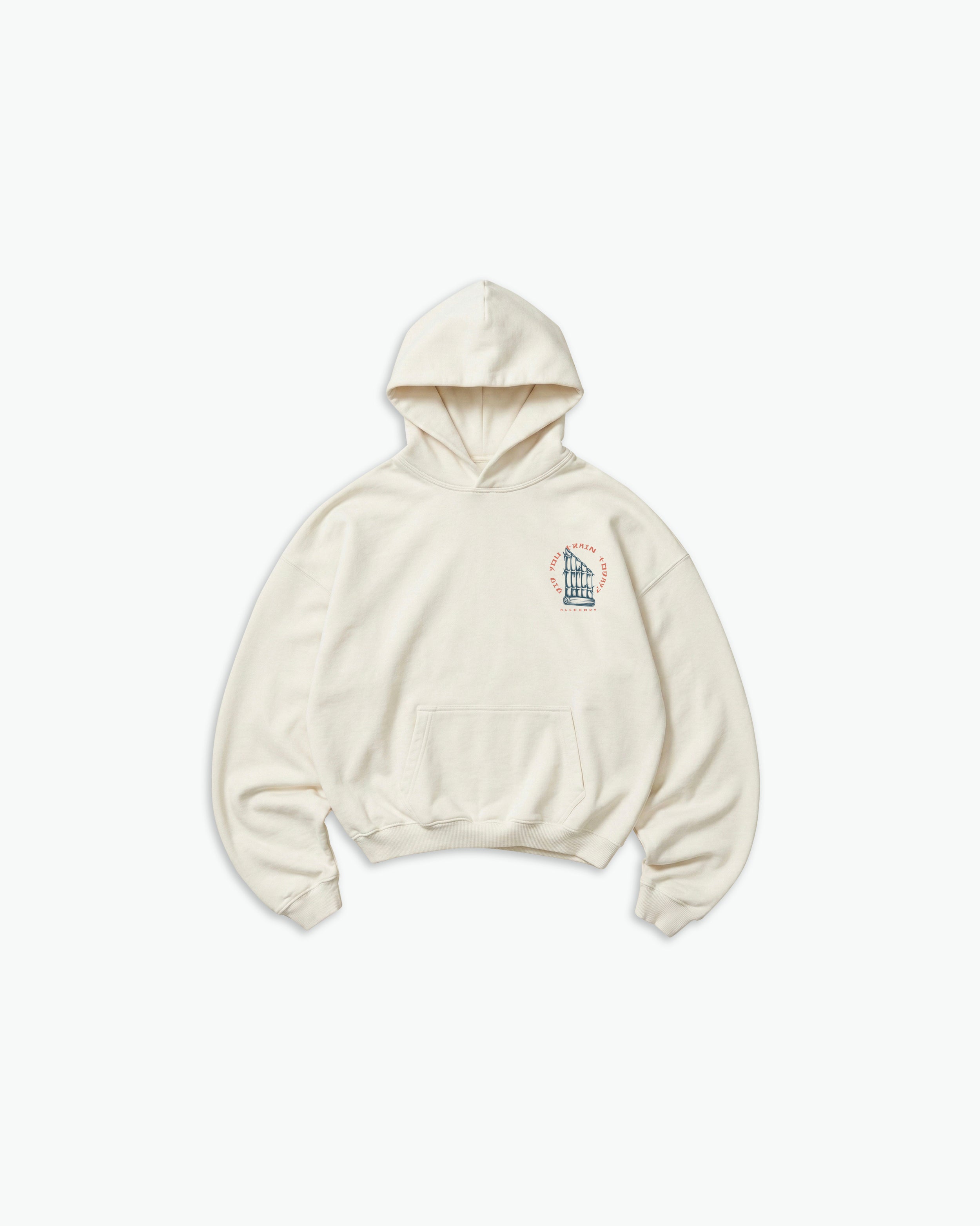 Did You Train Today Hoodie