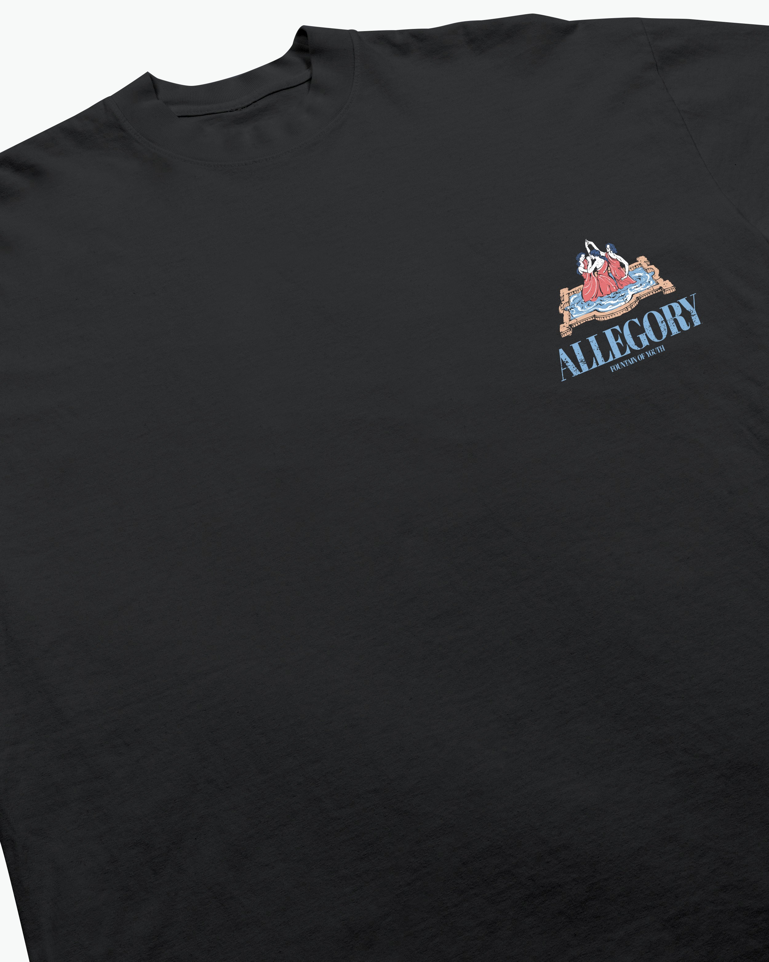 Fountain of Youth Tee / Charcoal-4