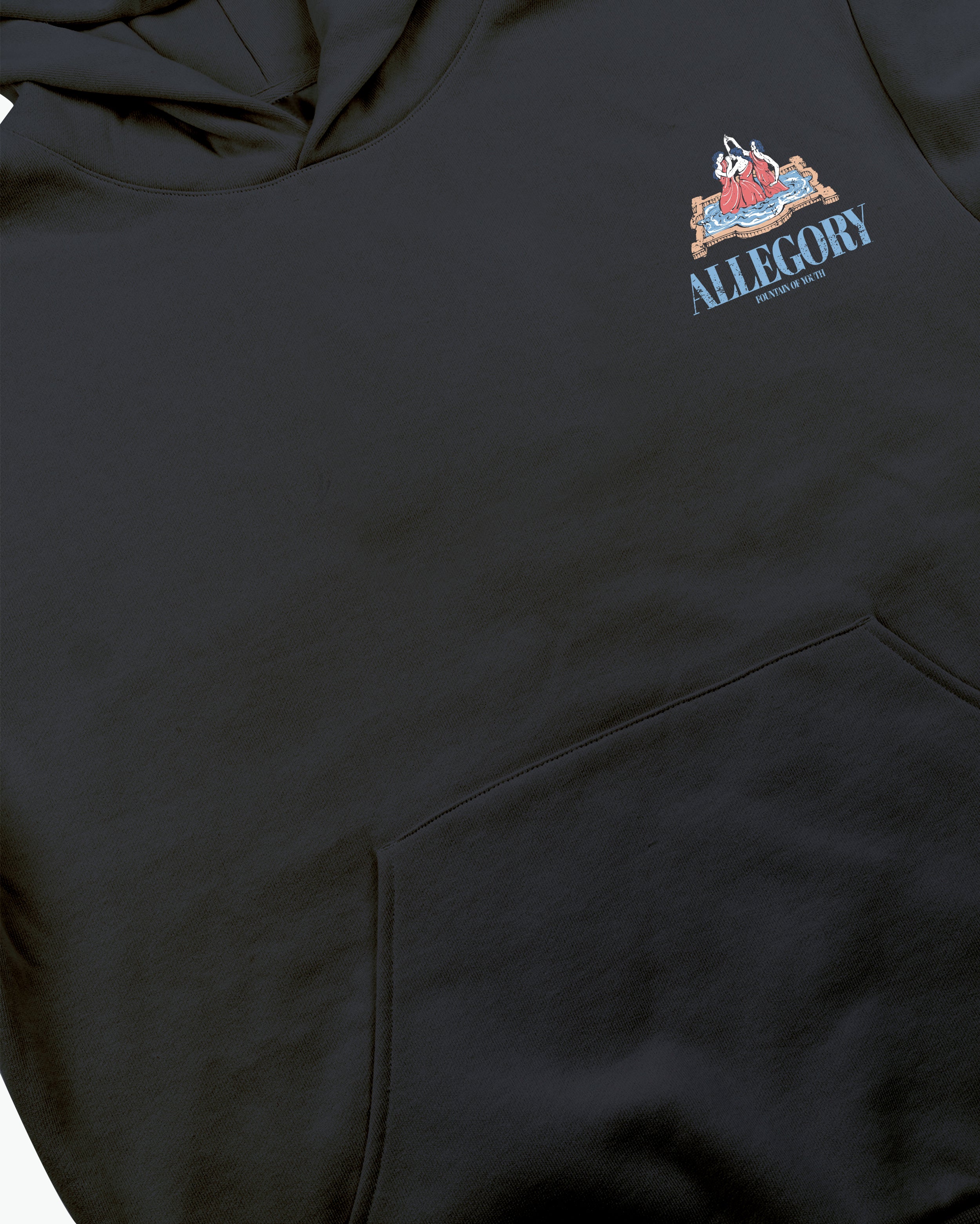 Fountain of Youth Hoodie / Charcoal-4